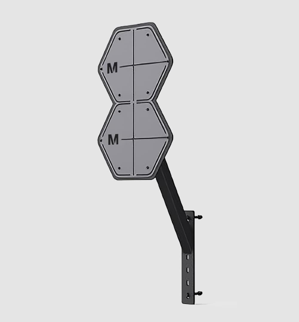 Rig Wall Ball Target